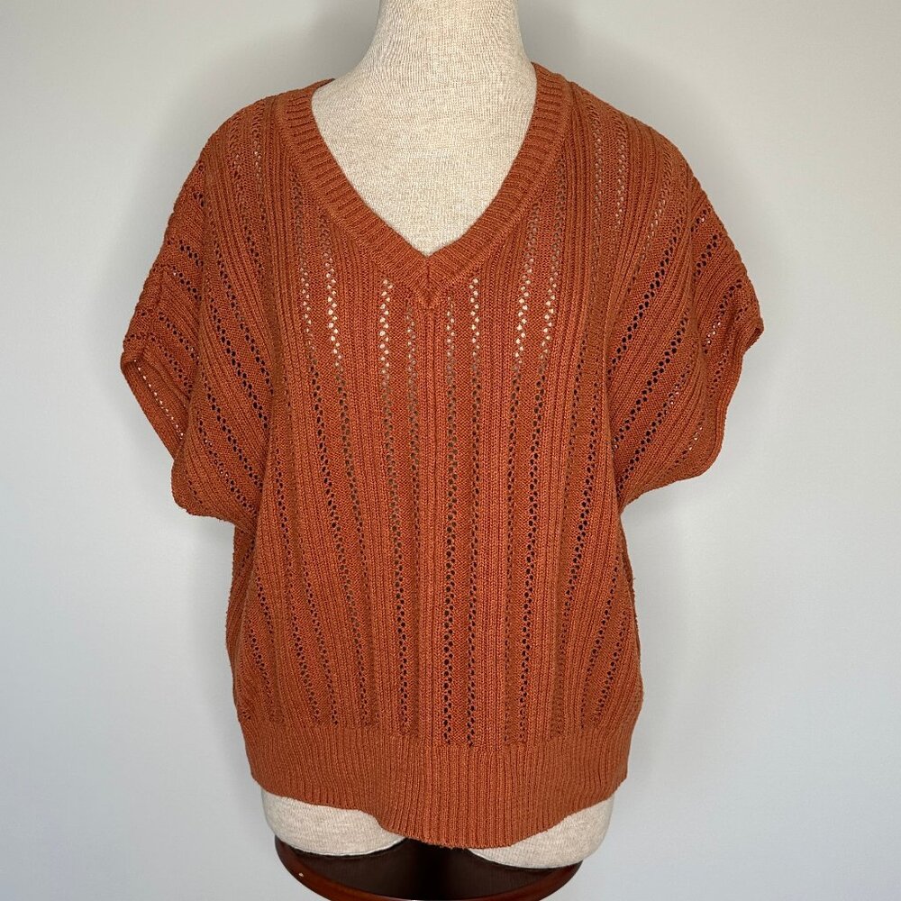 Joie Women's Sweater V Neck Dolman Sleeve Cinnamon/Rust Colored Size Large